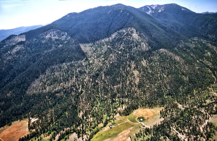 1990s Hunt Mountain timber hervest